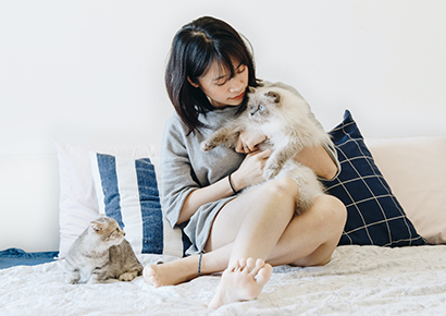 How To Encourage An Active Lifestyle For Your Dog