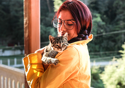 How To Bathe Your Cat: Step By Step Guide And Effective Tips